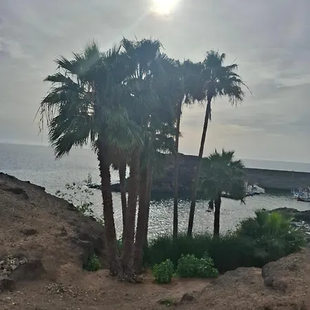 Simon And Ami Aparments شقة